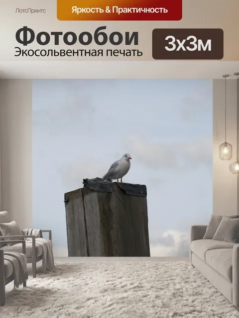 Фотообои Чайка