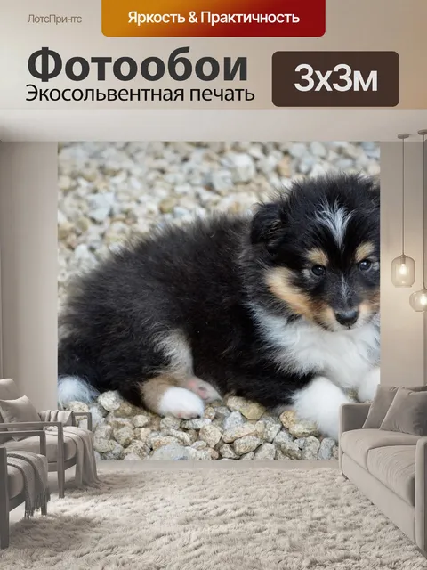 Фотообои Щенок