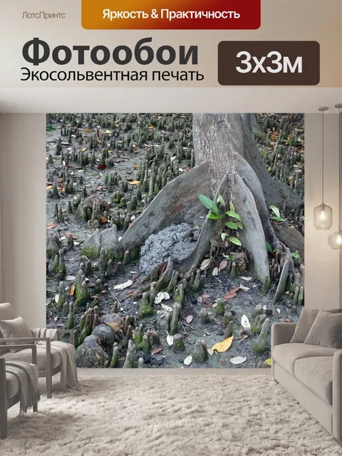 Фотообои Сундари