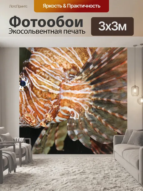 Фотообои Рыбы