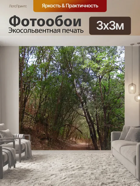 Фотообои Зеленая листва на деревьях, склонившись