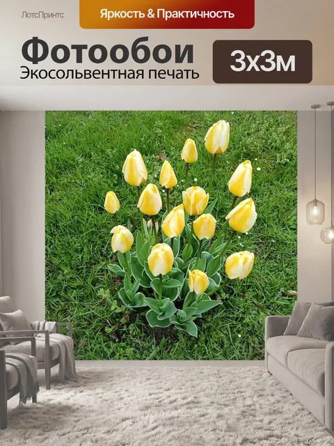 Фотообои Тюльпаны