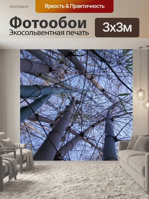 Фотообои Природа