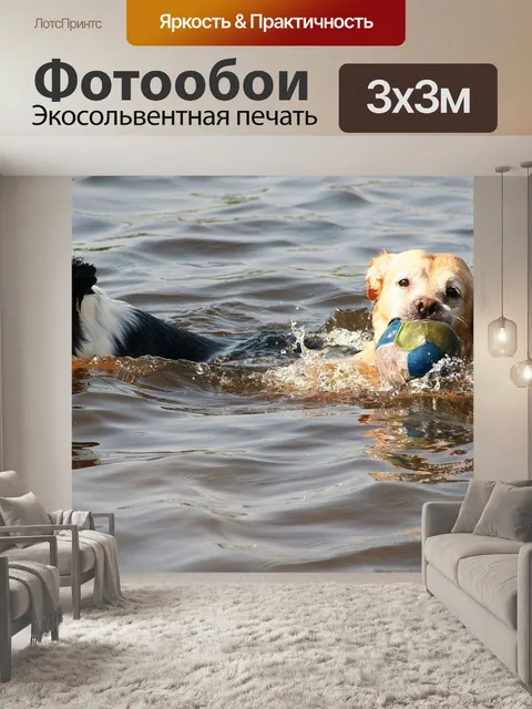 Фотообои Собаки