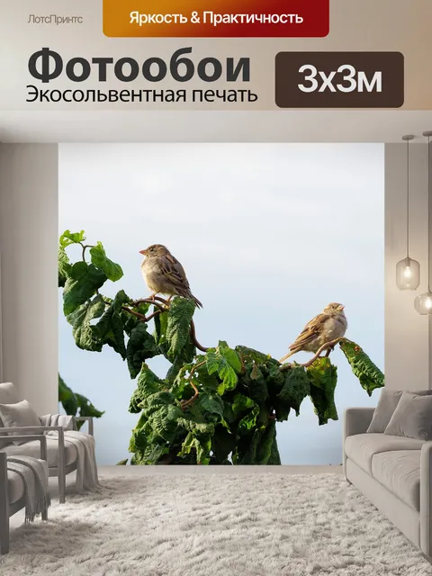 Фотообои Птица