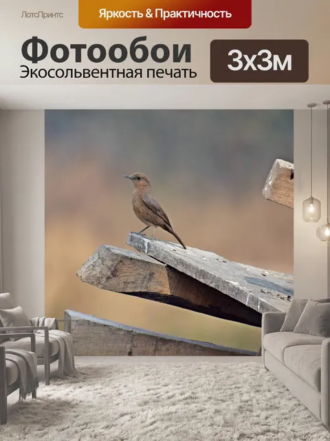 Фотообои Милый