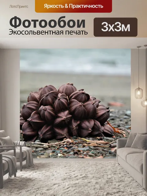 Фотообои Пляж