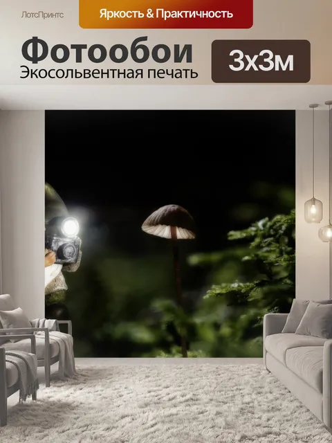 Фотообои Составление