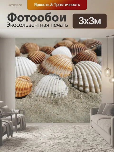 Фотообои Ракушки