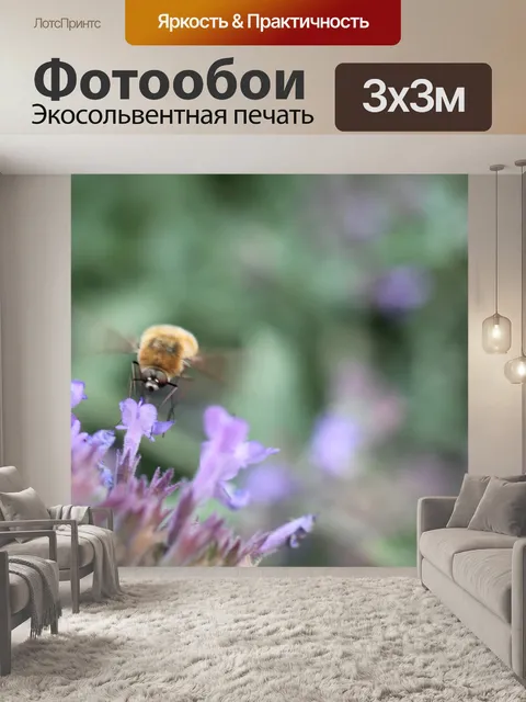 Фотообои Колибри ястреб моли