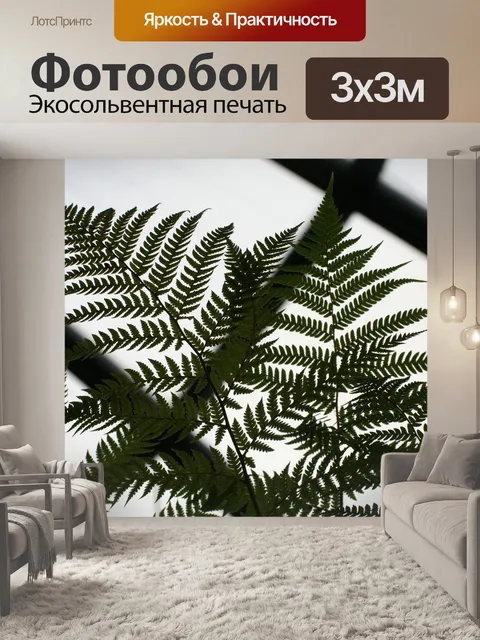 Фотообои Папоротник