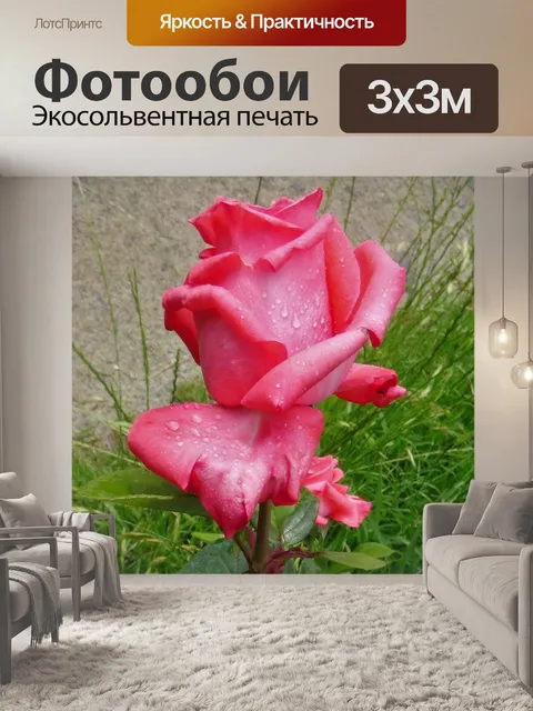 Фотообои Цветок