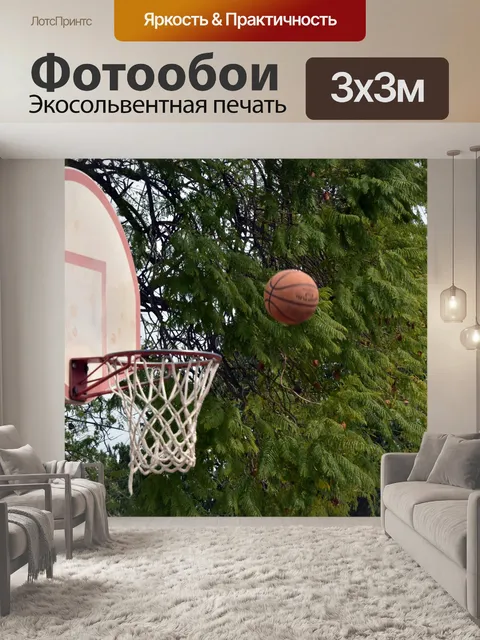 Фотообои Баскетбол выстрел