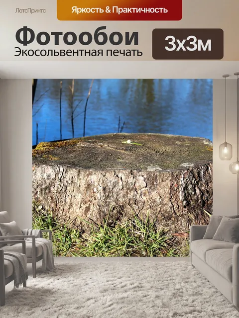 Фотообои Ствол дерева