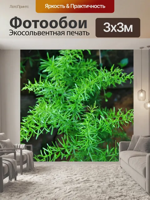 Фотообои спаржа веточка