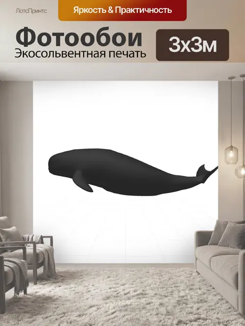 Фотообои Черный дельфин