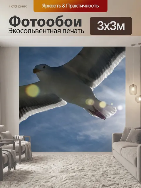 Фотообои Парящая Чайка