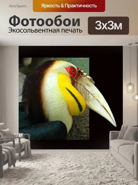 Фотообои Тукан