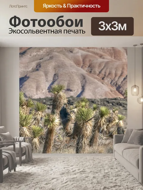 Фотообои Деревья Джошуа кактусы