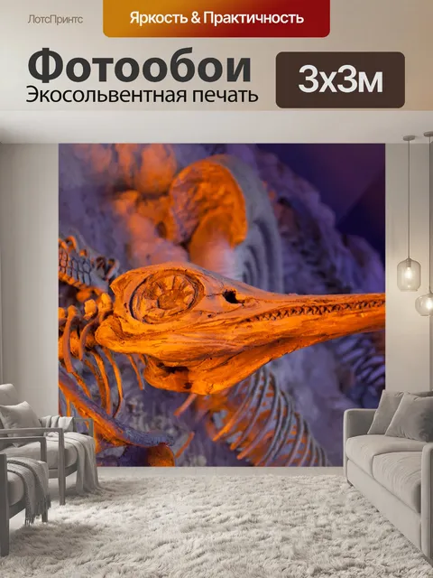 Фотообои Доисторические ископаемых