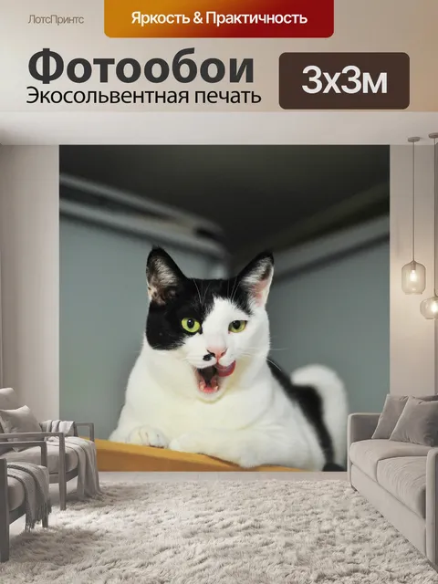 Фотообои Кошка