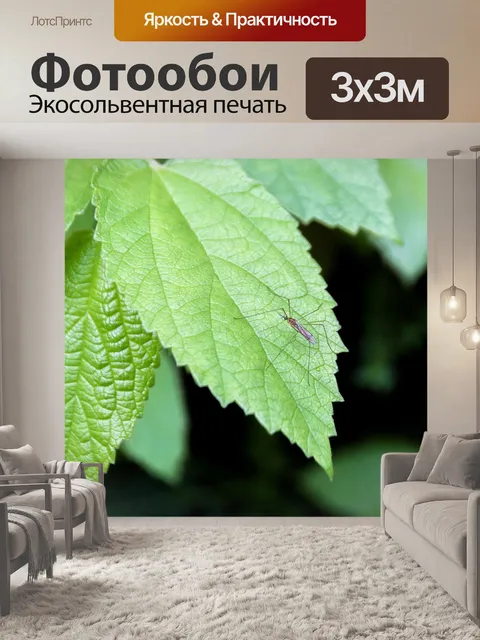 Фотообои Комар