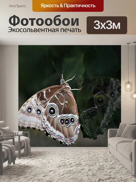 Фотообои Бабочка