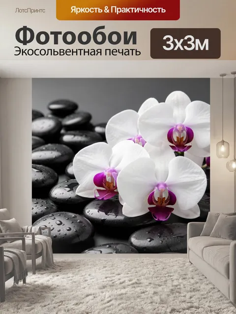 Фотообои Белые орхидеи на камнях