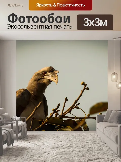 Фотообои Птицы