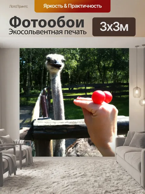 Фотообои Иоганн Штраус