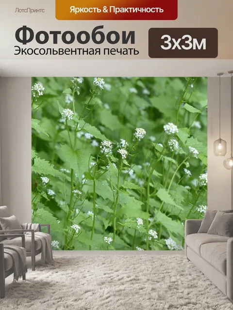 Фотообои Чесночная горчица