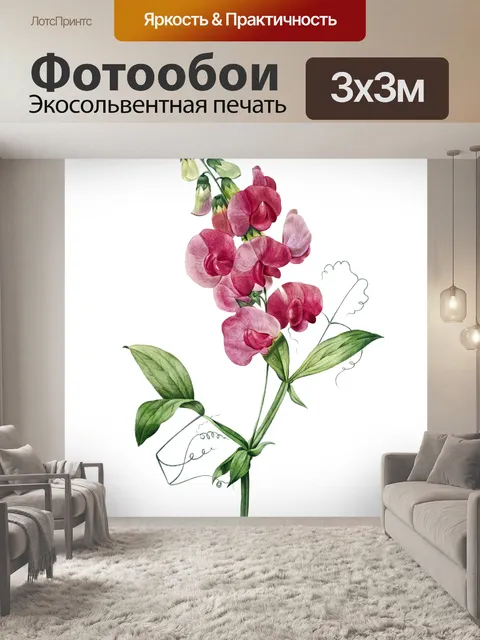 Фотообои Винтажная иллюстрация цветка мальвы