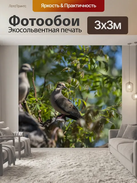 Фотообои Пара траурных голубей на ветке
