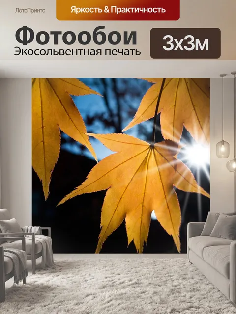 Фотообои Клен