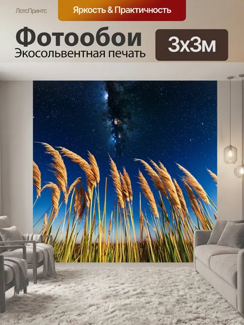 Фотообои камыш, покачивающийся под звездами ночью, с яркими млечными путями на небесах