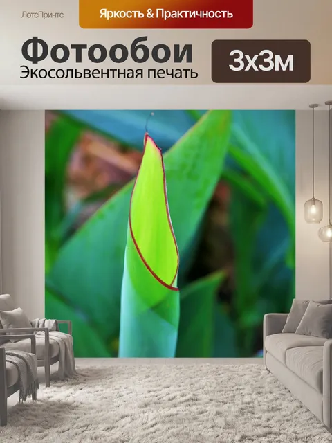 Фотообои развернув Канна лист