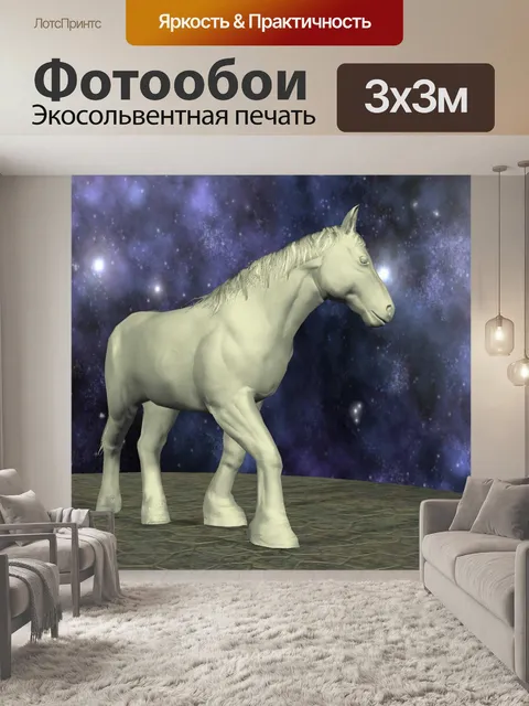 Фотообои Clydesdale horse