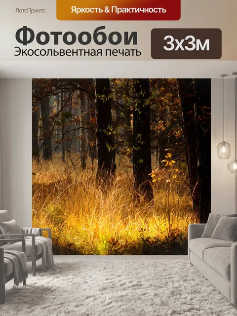 Фотообои Лес