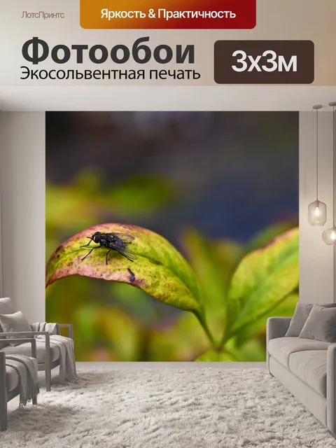 Фотообои Летит