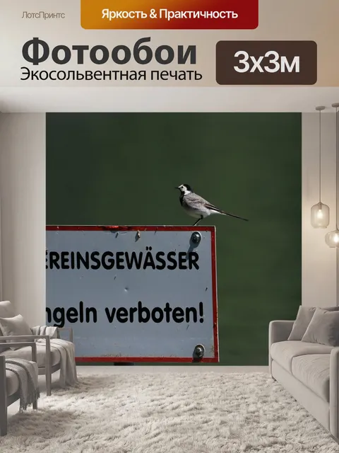Фотообои Птица