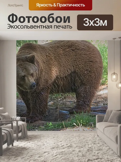 Фотообои Медведь