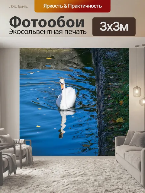 Фотообои Лебедь