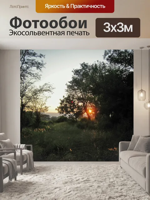 Фотообои рассвет через степь