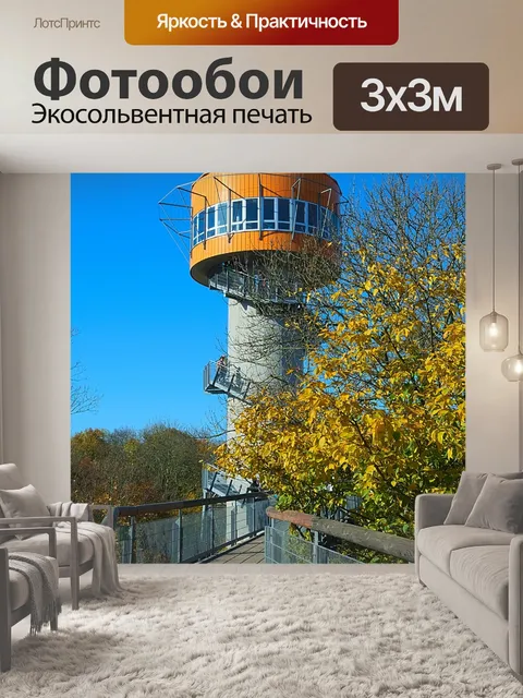 Фотообои Осенний лес