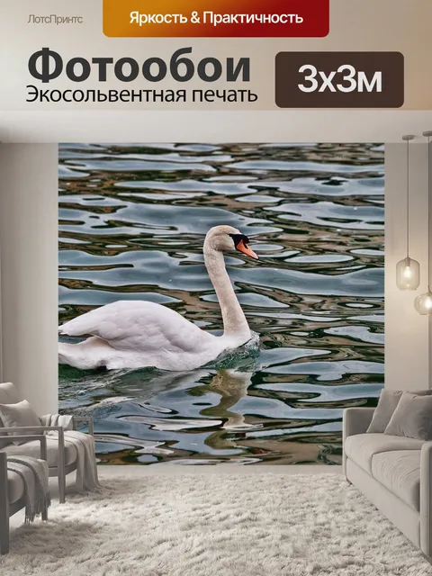 Фотообои Лебедь