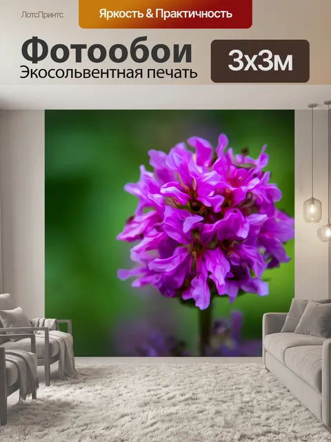 Фотообои Цветок, розовые лепестки