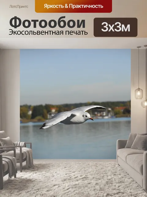 Фотообои Двигаться