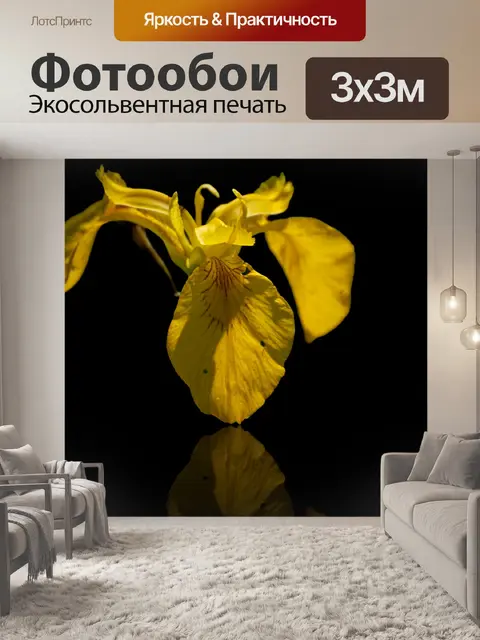 Фотообои Цветок ириса, желтый цветок