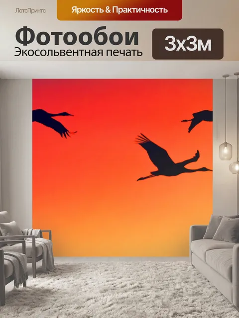 Фотообои Канадские журавли