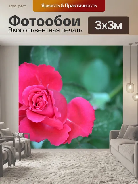 Фотообои Сладкий Роуз (а)